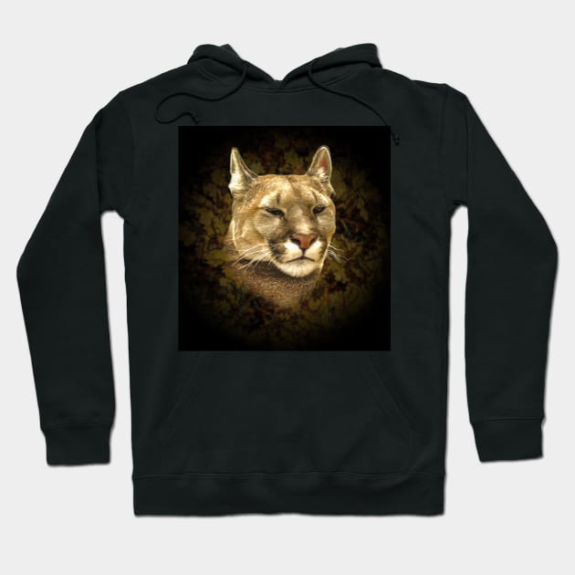 Mountain lion Hoodie by Guardi